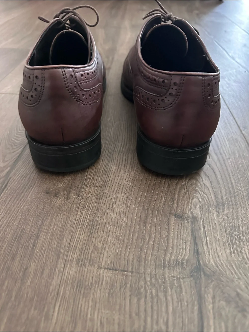 Bruno Magli Men's Brown Leather Brogue Cap-Toe Oxfords